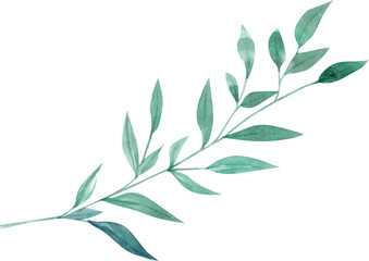 Hand Drawn Watercolor Branch