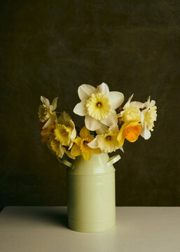 beautiful daffodils in a vase on a dark background