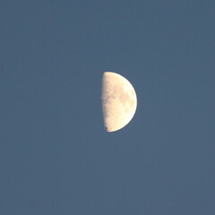 half moon in blue sky