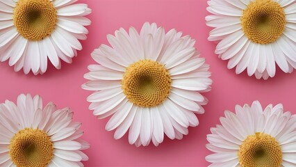 Gerbera daisy flower on greeting card background for mothers day
