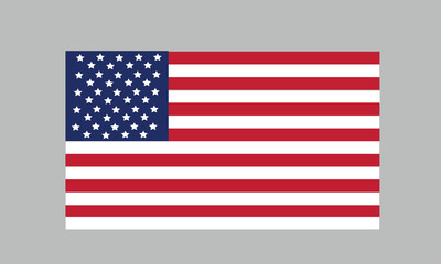 USA FLAG
