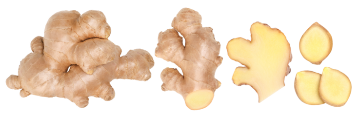   Fresh ginger rhizome, Half and  slice isolated, transparent PNG, collection, PNG format, cut out, Close-up