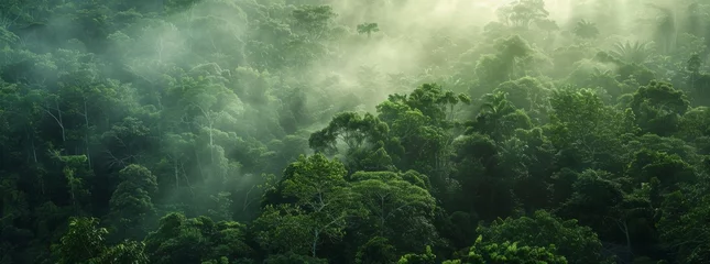Foto op Aluminium  KS A panoramic view of the dense forest canopy. © กิตติพัฒน์ สมนาศักดิ