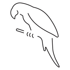 parrot icon isolated on white background, vector illustration.