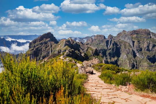 The picture depicts the PR1 Vereda do Areeiro trail in Madeira. A rocky path surrounded by lush greenery leads towards majestic mountain peaks piercing through a sea of clouds under a clear sky.
