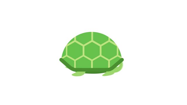 turtle cartoon animation. transparent background. turtle animation. 