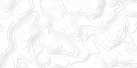 Abstract white paper cut background with line. 3d topography relief. Vector topographic illustration. realistic papercut decoration textured with wavy layer and shadow. seamless pattern wave design.
