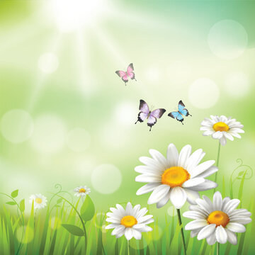 Abstract Spring Flower Background illustration.