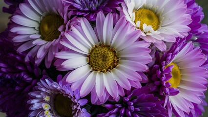 Macro shot showcases the beauty of a bouquet of flowers - obrazy, fototapety, plakaty