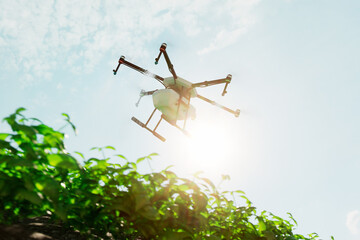 Precision Farming: UAV Drone Soars Over Lush Crops Under the Bright Summer Sky