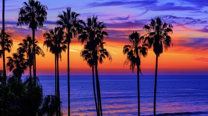 Obraz premium A beautiful sunset over the ocean with palm trees in the background. The sky is a mix of orange and purple hues, creating a serene and calming atmosphere