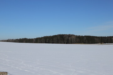 winter landscape with snow
