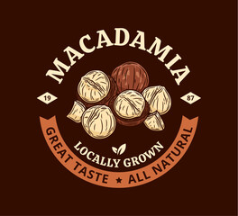 Vector macadamia nut logo on a dark background. Macadamia nut kernels and shells illustration
