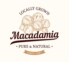 Vector macadamia nut logo. Macadamia nut kernels and shells illustration