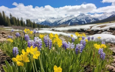 Obraz premium spring has spring in the mountain