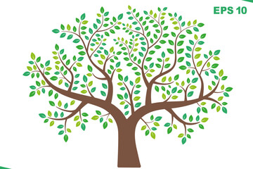 Vector green tree. Vector illustration