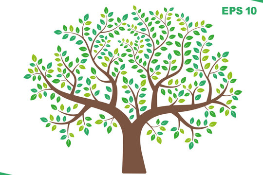 Vector green tree. Vector illustration