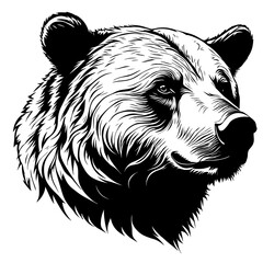 Angry bear grizzly head, vector illustration, logo head emblem. Bear logo, roaring bear	

