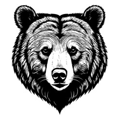 Angry bear grizzly head, vector illustration, logo head emblem. Bear logo, roaring bear	
