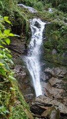 Small waterfall at the high altitude Paraiso Quetzal Lodge outside of San Jose, Costa Rica