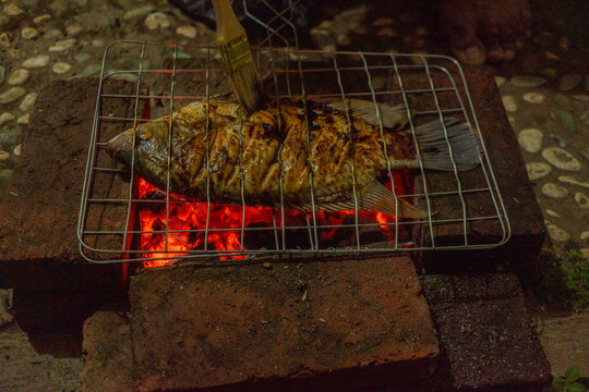 fish grilled over the charcoal fire when summer party. the photo is suitable to use for grilled content media and party poster.