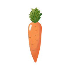 Carrot icon. Cartoon illustration of carrot vector icon for web design
