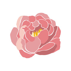 Modern abstract peony flower. Vector cute illustration on white background.