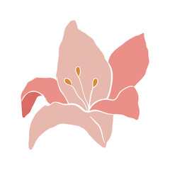 Modern abstract lily flower. Vector cute illustration on white background.