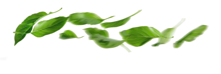Blurry Leaves Twisting in Flight