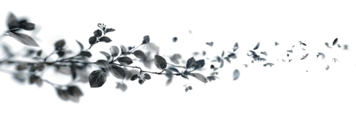 Abstract Twisting Leaves on Invisible Background