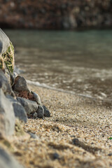 Piasek na plaży, morska fala © Malgorzata