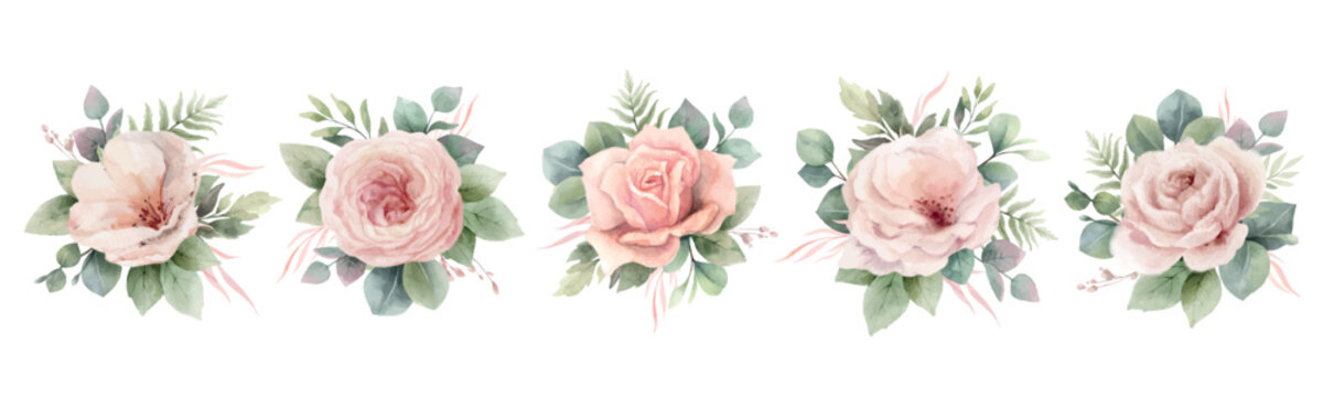 Dusty pink roses flowers and eucalyptus branches. Set vector watercolor floral bouquets. Foliage arrangement for wedding , greetings, wallpapers, fashion, home decoration. Hand painted illustration.