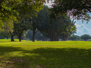 Fototapeta na wymiar Scenic view of a lush park of Miami Springs Golf Course