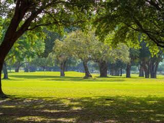 Scenic view of a lush park of Miami Springs Golf Course