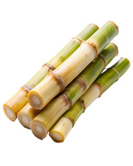 sugar cane stalk transparent background