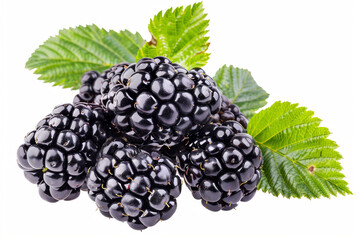  bunch of blackberries complete with leaves isolated on a white background