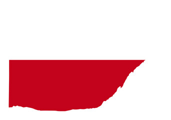 Poland flag with palette knife paint brush strokes grunge texture design. Grunge brush stroke effect