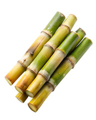sugar cane stalk transparent background