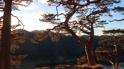 Abendssonne in den Bergen