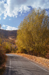 road in autumn