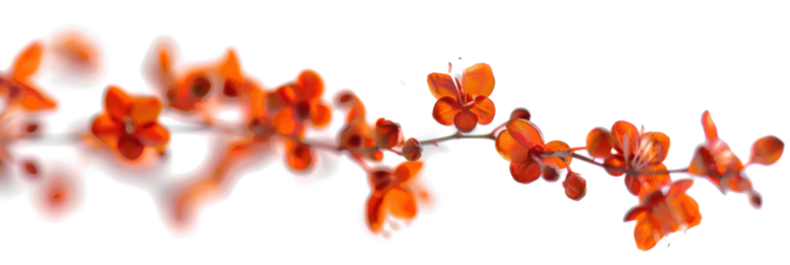 Abstract Blurry Twisting Flowers