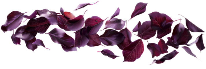 Blurry Leaves Twisting in Air