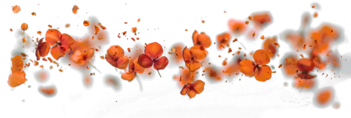 Twisting Blooms in Ethereal Flight