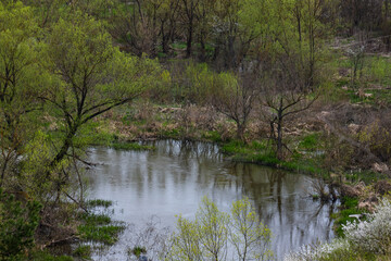 river in green banks covered with woods