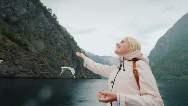 Seagull snatches treat from tourist's hands, travels through Norway's fjords