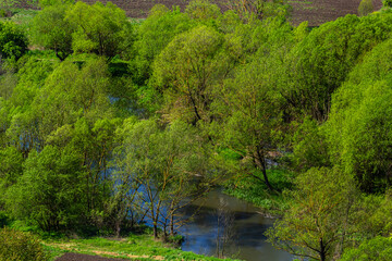 Fototapeta na wymiar river in green banks covered with woods