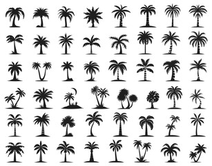 Palms trees icons. Beach palm tree bending black silhouettes isolated, coco nuts paradise plants vectorized graphics on white