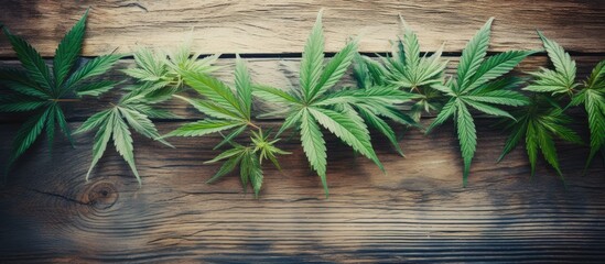 Close-up of marijuana leaves on wooden surface - obrazy, fototapety, plakaty
