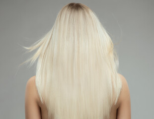 Blond Hair Woman Rear View over isolated Gray. Blondie Girl with Long Straight Hairstyle Back Side. Shiny Smooth Blond Hair Close up