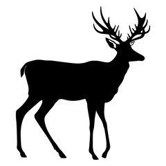 Deer silhouette isolated on transparent or white background, vector illustration